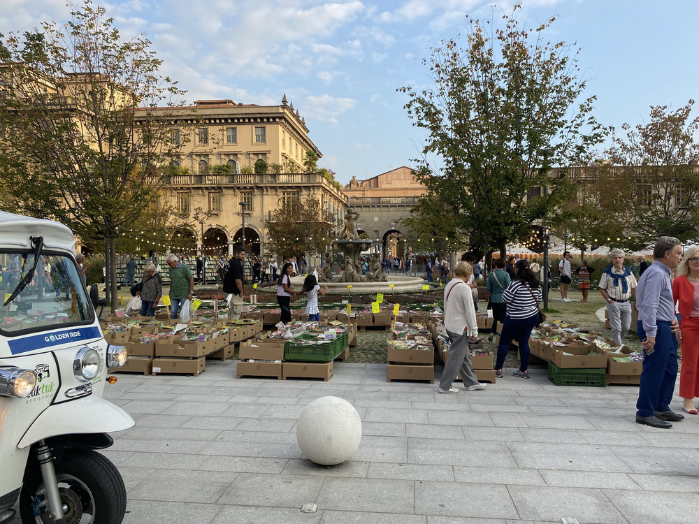 Gallery 2023 - Foto 31