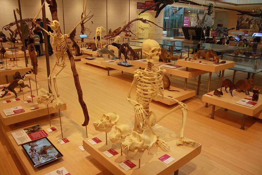 Gallery 2017 - Foto 25